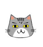 アメショと思ってたらサバトラだった猫（個別スタンプ：2）