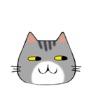 アメショと思ってたらサバトラだった猫（個別スタンプ：3）