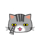 アメショと思ってたらサバトラだった猫（個別スタンプ：4）