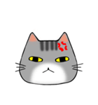 アメショと思ってたらサバトラだった猫（個別スタンプ：6）