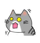 アメショと思ってたらサバトラだった猫（個別スタンプ：8）