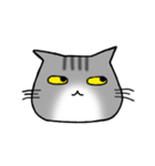 アメショと思ってたらサバトラだった猫（個別スタンプ：9）