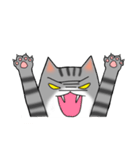 アメショと思ってたらサバトラだった猫（個別スタンプ：11）
