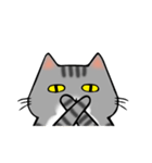 アメショと思ってたらサバトラだった猫（個別スタンプ：12）