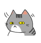 アメショと思ってたらサバトラだった猫（個別スタンプ：15）
