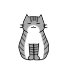アメショと思ってたらサバトラだった猫（個別スタンプ：17）