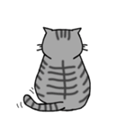 アメショと思ってたらサバトラだった猫（個別スタンプ：18）