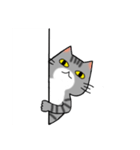 アメショと思ってたらサバトラだった猫（個別スタンプ：19）