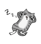 アメショと思ってたらサバトラだった猫（個別スタンプ：20）