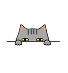 アメショと思ってたらサバトラだった猫（個別スタンプ：21）