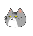 アメショと思ってたらサバトラだった猫（個別スタンプ：22）
