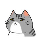 アメショと思ってたらサバトラだった猫（個別スタンプ：25）