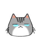 アメショと思ってたらサバトラだった猫（個別スタンプ：26）