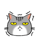 アメショと思ってたらサバトラだった猫（個別スタンプ：30）