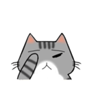 アメショと思ってたらサバトラだった猫（個別スタンプ：33）