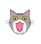 アメショと思ってたらサバトラだった猫（個別スタンプ：34）