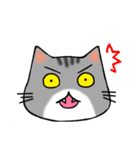 アメショと思ってたらサバトラだった猫（個別スタンプ：37）