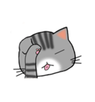 アメショと思ってたらサバトラだった猫（個別スタンプ：38）