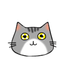 アメショと思ってたらサバトラだった猫（個別スタンプ：40）