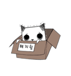 Paper cat Animated, kari (kor)（個別スタンプ：1）