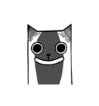 Paper cat Animated, kari（個別スタンプ：20）