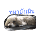 Dog wanna Say no.1（個別スタンプ：2）
