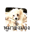 Dog wanna Say no.1（個別スタンプ：3）
