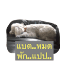 Dog wanna Say no.1（個別スタンプ：7）