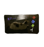 Cat points（個別スタンプ：2）