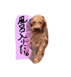 mizusawasutanpu（個別スタンプ：11）