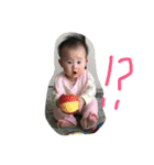 はうちゃんのスタンプ（個別スタンプ：5）