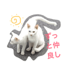 何処にでも居るノラ猫の生活（個別スタンプ：7）