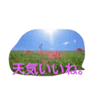 綺麗な花（個別スタンプ：6）
