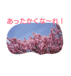 綺麗な花（個別スタンプ：8）