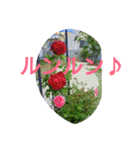 綺麗な花（個別スタンプ：9）