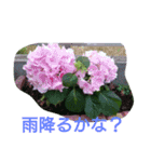 綺麗な花（個別スタンプ：11）