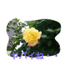 綺麗な花（個別スタンプ：13）
