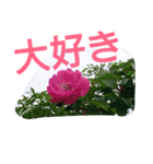 綺麗な花（個別スタンプ：16）