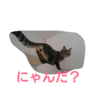 癒しの友（個別スタンプ：4）