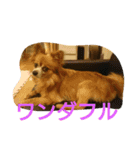 癒しの友（個別スタンプ：6）