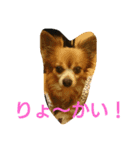 癒しの友（個別スタンプ：9）