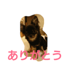 癒しの友（個別スタンプ：11）