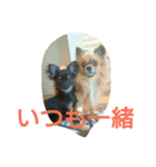 癒しの友（個別スタンプ：15）