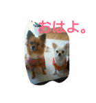 癒しの友（個別スタンプ：16）