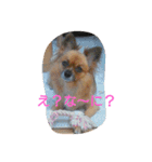 癒してくれる仲間たち（個別スタンプ：2）