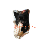癒してくれる仲間たち（個別スタンプ：3）
