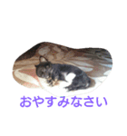 癒してくれる仲間たち（個別スタンプ：7）
