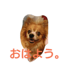 癒してくれる仲間たち（個別スタンプ：9）
