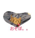 癒してくれる仲間たち（個別スタンプ：10）