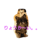 癒してくれる仲間たち（個別スタンプ：11）